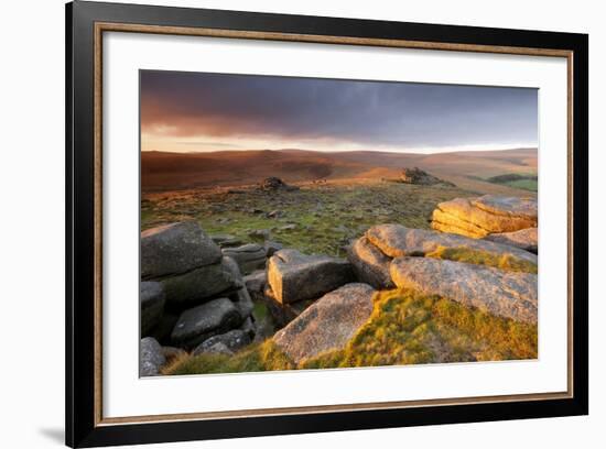 Moorland View at Belstone with Granite Outcrops, Near Okehampton, Dartmoor Np, Devon, England, UK-Ross Hoddinott-Framed Photographic Print