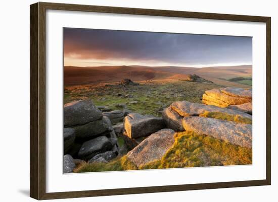 Moorland View at Belstone with Granite Outcrops, Near Okehampton, Dartmoor Np, Devon, England, UK-Ross Hoddinott-Framed Photographic Print