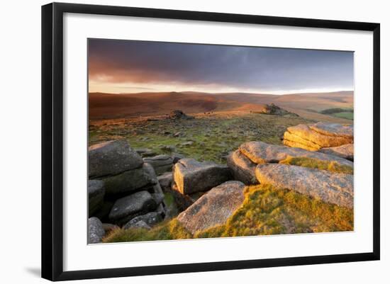 Moorland View at Belstone with Granite Outcrops, Near Okehampton, Dartmoor Np, Devon, England, UK-Ross Hoddinott-Framed Photographic Print