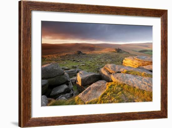 Moorland View at Belstone with Granite Outcrops, Near Okehampton, Dartmoor Np, Devon, England, UK-Ross Hoddinott-Framed Photographic Print