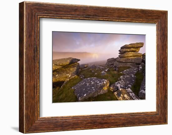 Moorland view from Littaford Tor, Dartmoor, Devon, England-Ross Hoddinott / 2020VISION-Framed Photographic Print