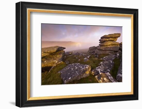 Moorland view from Littaford Tor, Dartmoor, Devon, England-Ross Hoddinott / 2020VISION-Framed Photographic Print