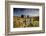 Moorland View Of Nun'S Cross Farm, Dry Stone Wall And Gate, Dartmoor, Devon, UK. February 2009-Ross Hoddinott-Framed Photographic Print