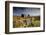 Moorland View Of Nun'S Cross Farm, Dry Stone Wall And Gate, Dartmoor, Devon, UK. February 2009-Ross Hoddinott-Framed Photographic Print