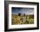 Moorland View Of Nun'S Cross Farm, Dry Stone Wall And Gate, Dartmoor, Devon, UK. February 2009-Ross Hoddinott-Framed Photographic Print