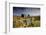 Moorland View Of Nun'S Cross Farm, Dry Stone Wall And Gate, Dartmoor, Devon, UK. February 2009-Ross Hoddinott-Framed Photographic Print