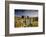 Moorland View Of Nun'S Cross Farm, Dry Stone Wall And Gate, Dartmoor, Devon, UK. February 2009-Ross Hoddinott-Framed Photographic Print