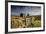 Moorland View Of Nun'S Cross Farm, Dry Stone Wall And Gate, Dartmoor, Devon, UK. February 2009-Ross Hoddinott-Framed Photographic Print