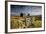 Moorland View Of Nun'S Cross Farm, Dry Stone Wall And Gate, Dartmoor, Devon, UK. February 2009-Ross Hoddinott-Framed Photographic Print