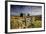 Moorland View Of Nun'S Cross Farm, Dry Stone Wall And Gate, Dartmoor, Devon, UK. February 2009-Ross Hoddinott-Framed Photographic Print