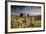 Moorland View Of Nun'S Cross Farm, Dry Stone Wall And Gate, Dartmoor, Devon, UK. February 2009-Ross Hoddinott-Framed Photographic Print