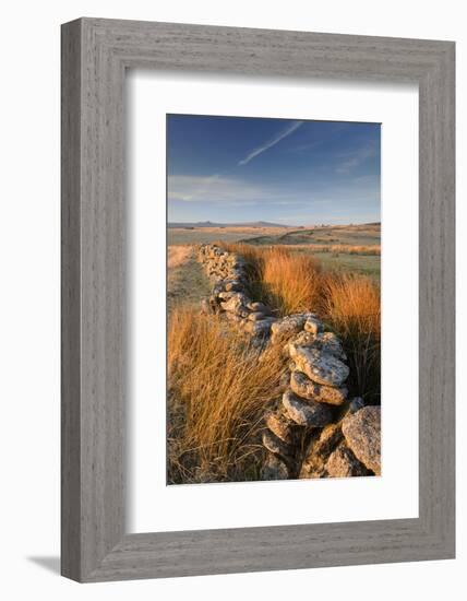 Moorland view with dry stone wall, Dartmoor, Devon, UK-Ross Hoddinott-Framed Photographic Print