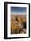 Moorland view with dry stone wall, Dartmoor, Devon, UK-Ross Hoddinott-Framed Photographic Print