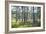 Moorlands, Raised Bog, Gnosjö-Sonja Jordan-Framed Photographic Print