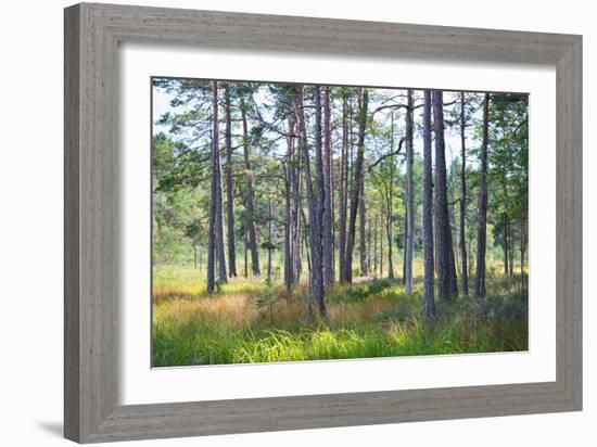 Moorlands, Raised Bog, Gnosjö-Sonja Jordan-Framed Photographic Print