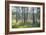 Moorlands, Raised Bog, Gnosjö-Sonja Jordan-Framed Photographic Print