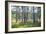 Moorlands, Raised Bog, Gnosjö-Sonja Jordan-Framed Photographic Print