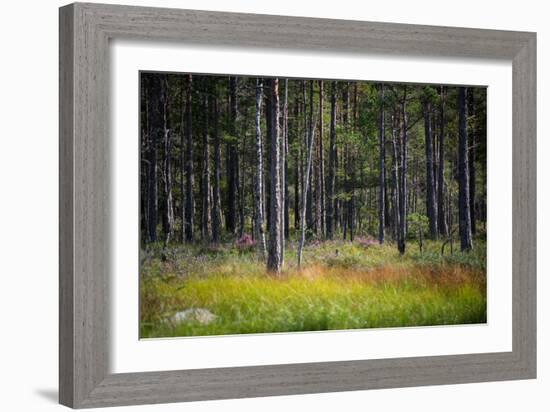 Moorlands, Raised Bog, Gnosjö-Sonja Jordan-Framed Photographic Print