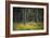 Moorlands, Raised Bog, Gnosjö-Sonja Jordan-Framed Photographic Print