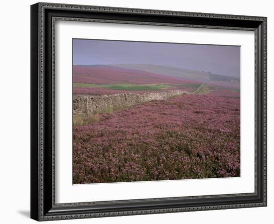 Moors Near Grinton, Yorkshire, England, United Kingdom-Michael Busselle-Framed Photographic Print