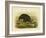 Mooruk, 1891-Gracius Broinowski-Framed Premium Giclee Print