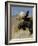 Moose (Alces Alces) Bull, Grand Teton National Park, Wyoming, USA-Rolf Nussbaumer-Framed Photographic Print