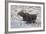 Moose (Alces Alces) Calf on a Winter Morning-James Hager-Framed Photographic Print