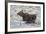 Moose (Alces Alces) Calf on a Winter Morning-James Hager-Framed Photographic Print