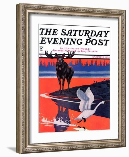 "Moose and White Goose," Saturday Evening Post Cover, March 23, 1935-Jacob Bates Abbott-Framed Giclee Print