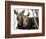 Moose at Grand Teton National Park, Wyoming, USA-Tom Norring-Framed Photographic Print