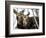 Moose at Grand Teton National Park, Wyoming, USA-Tom Norring-Framed Photographic Print