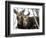 Moose at Grand Teton National Park, Wyoming, USA-Tom Norring-Framed Photographic Print