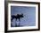 Moose Bull Crosses River-Georgienne Bradley-Framed Photographic Print