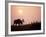 Moose Bull with Antlers Silhouetted at Sunset, Smoke of Wildfires, Denali National Park, Alaska-Steve Kazlowski-Framed Photographic Print