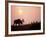 Moose Bull with Antlers Silhouetted at Sunset, Smoke of Wildfires, Denali National Park, Alaska-Steve Kazlowski-Framed Photographic Print