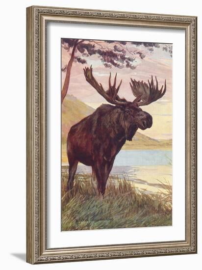 Moose by Lake-null-Framed Art Print