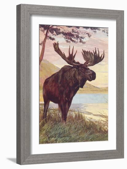 Moose by Lake-null-Framed Art Print
