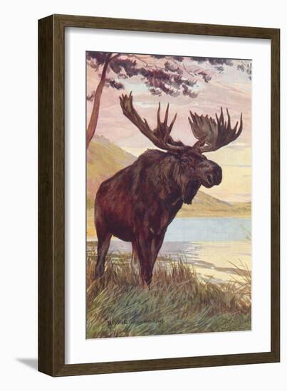 Moose by Lake-null-Framed Art Print