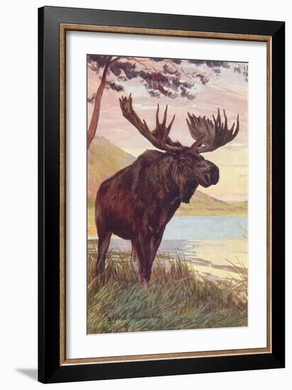 Moose by Lake-null-Framed Art Print