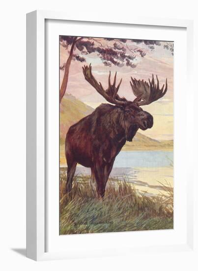 Moose by Lake-null-Framed Art Print