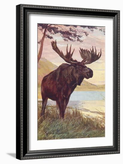 Moose by Lake-null-Framed Art Print