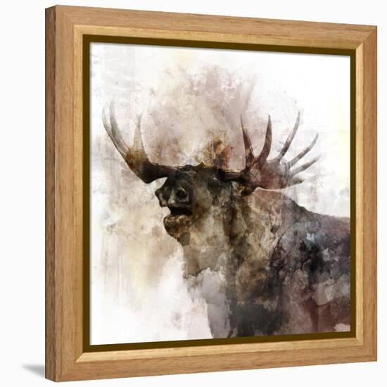 Moose Call-Ken Roko-Framed Stretched Canvas