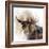 Moose Call-Ken Roko-Framed Art Print