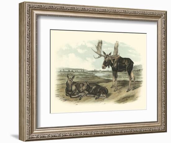 Moose Deer-John James Audubon-Framed Art Print