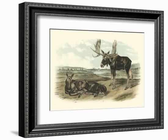 Moose Deer-John James Audubon-Framed Art Print