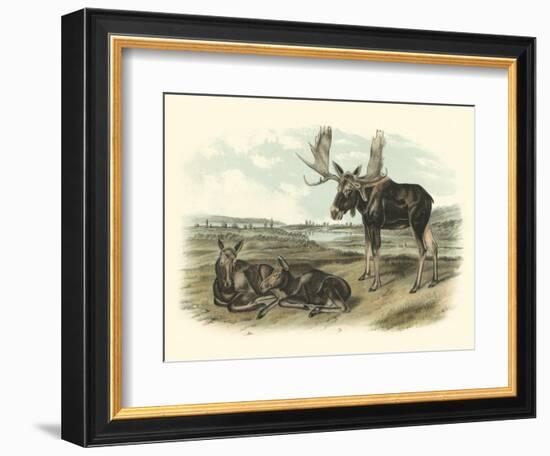 Moose Deer-John James Audubon-Framed Art Print