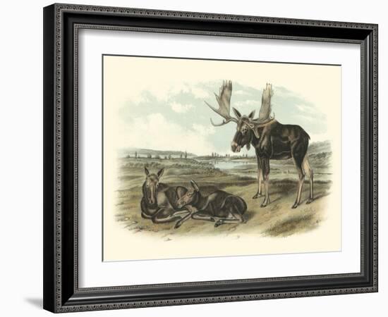 Moose Deer-John James Audubon-Framed Art Print