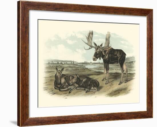 Moose Deer-John James Audubon-Framed Art Print