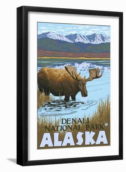 Moose Drinking at Lake, Denali National Park, Alaska-Lantern Press-Framed Art Print