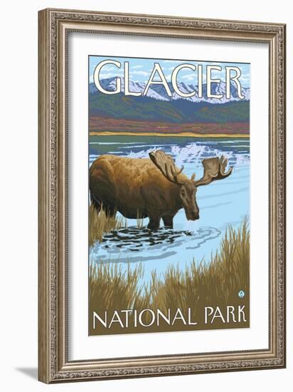 Moose Drinking at Lake, Glacier National Park, Montana-Lantern Press-Framed Art Print